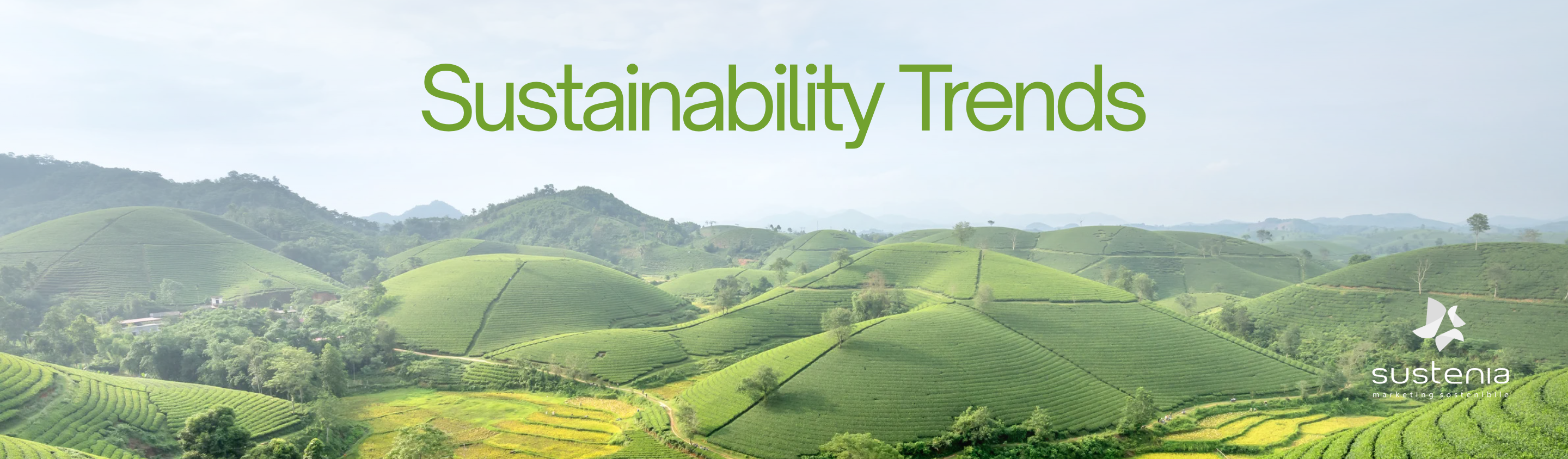 Sustainability Trends - i temi al centro della community questo mese