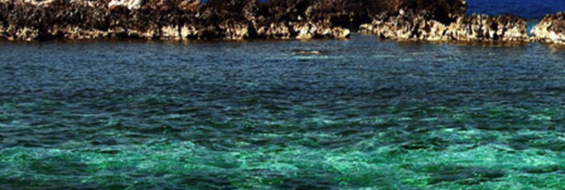 La blue economy si scrive in bilancio. Si costruisce sott'acqua